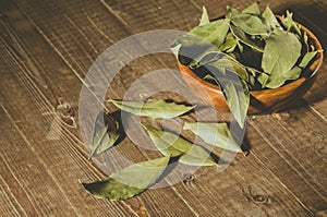spices of bay leaf in rural style/ bay leaf in a wooden plate on a wooden background. Copy space