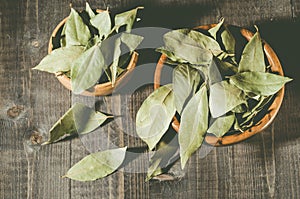 Spices of bay leaf in rural style on a dark background/bay leaf on a dark wooden surface. Top view