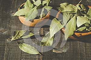 Spices of bay leaf in rural style on a dark background/spices of