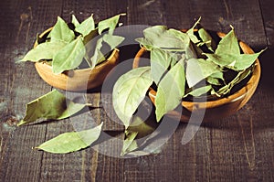 Spices of bay leaf in rural style on a dark background/spices of bay leaf in rural style. selective focus