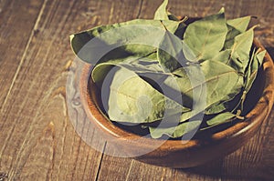 spices of bay leaf in rural style/ spices of bay leaf in rural style on a wooden background. selective focus