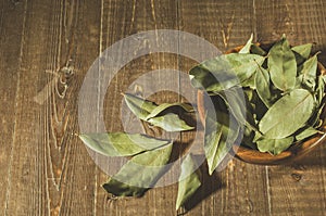 spices of bay leaf in rural style/ spices of bay leaf in rural style on a wooden background. Top view