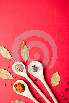 Spices: black pepper, ground red pepper and ground coriander on wooden spoons and Bay leaf on red background