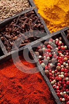 spices in box pink and black pepper, ground paprika, curry, anise, clove, cumin