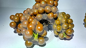 spices from central java,spices in the white background