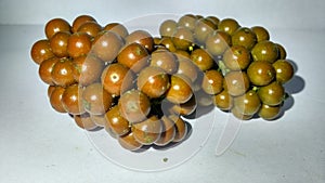 spices from central java,spices in the white background