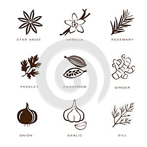 Spices, Condiments and Herbs