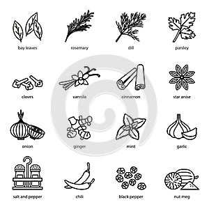 Spices, condiments and herbs icon set with white background.