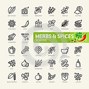 Spices, condiments and herbs - minimal thin line web icon set. Outline icons collection