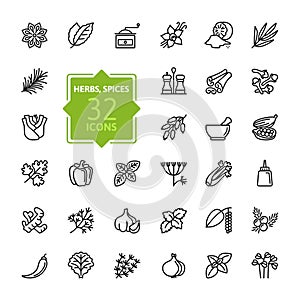 Spices, condiments and herbs - minimal thin line web icon set. Outline icons collection