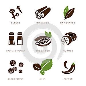 Spices, Condiments and Herbs Vector