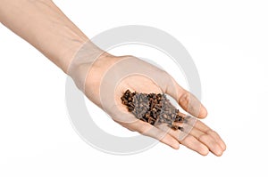 Spices and cooking theme: man's hand holding a bunch of dried cloves isolated on white background in studio