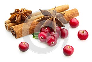 Spices with cranberry photo