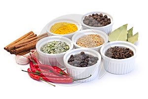 Spices and flavorings photo
