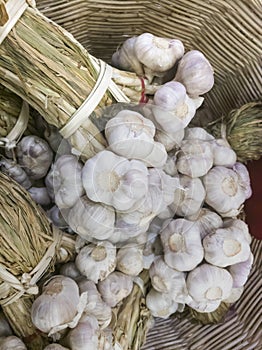 Spices-garlic bulbs