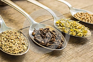 Spices and herbal tea ingredients on spoons photo