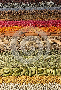 Spices and herbs background for website design. Seasonings scattered on the table