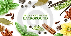 Spices and herbs frame. Realistic natural dishes ingredients, dry and fresh products, leaves, twigs and powders