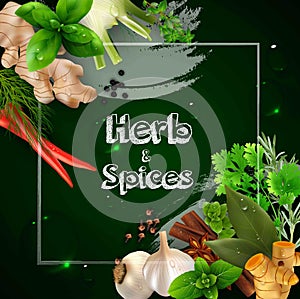 Spices and herbs on the green background