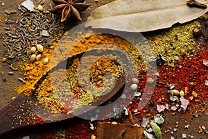 spices and herbs & Indian spices photo