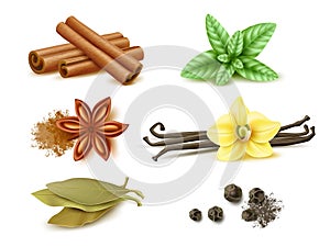 Spices and herbs. Realistic dry and fresh cooking aroma ingredients, vanilla pods and flower, cinnamon sticks, seeds and