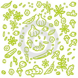 Spices Herbs Seamless Pattern Hand Drawn Vector Doodle
