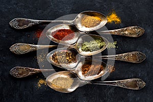 Spices and herbs spoons