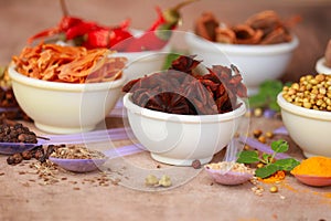 Spices and herbs in white bowls,indian Exotic Gourmet Food Ingredients: incl Turmeric,spice for the Indian curry,garam Masala,