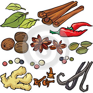 Spices icon set