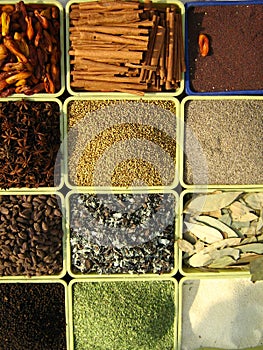 Spices of India