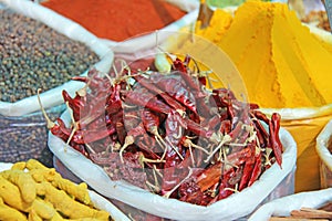 Spices India. Spices are sold on the market in India. Red pepper, cinnamon, baden, turmeric, anise, cardamom and others