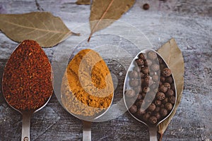 Spices on iron spoons on a dark background