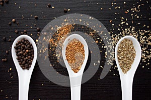 Spices in measuring spoon. Cooking and seasoning for taste