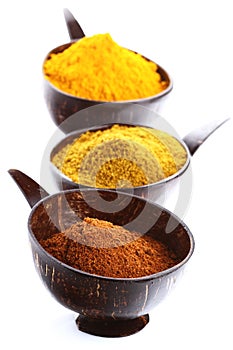 Spices - pile of bright Madras Curry Powde photo