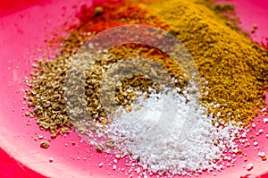 Spices - red pepper, ground coriander, salt and turmeric on a red plate, close-up