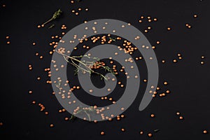 Spices scattered on a black background