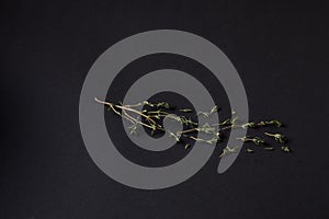 Spices scattered on a black background