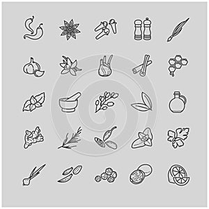 Spices and seasonings line icons