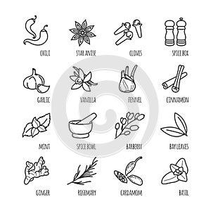 Spices and seasonings outline web icons
