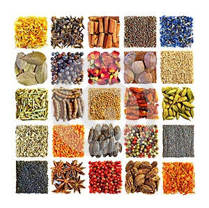 Spices and seasonings in square composition