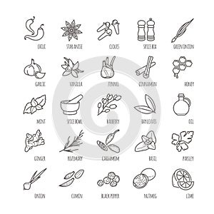 Spices and seasonings vector icons