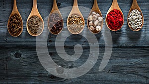 Spices and seasonings on the wooden spoon and the gray wooden background. Place for text. collage of condiments/herbal medicine, t