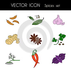 Spices set of colored icons