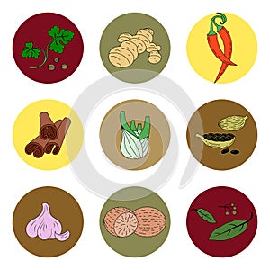 Spices set of colored icons