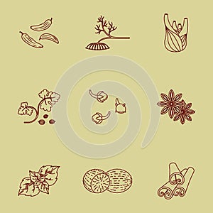 Spices set, contour icons