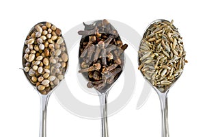 Spices on silver spoons