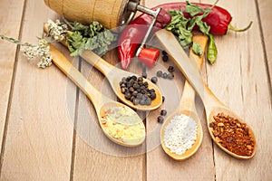 Spices on spoons