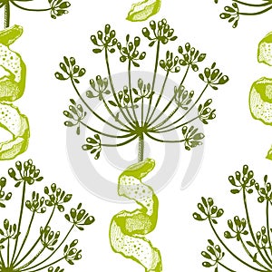 Vector background with hand drawn herbs and spices. Hand drawn ink illustration. Organic and fresh spices illustration