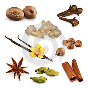 Spices, vector icons