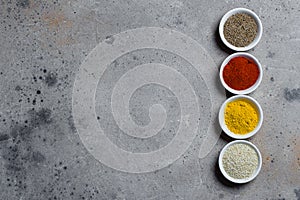 Spices in white bowls on concrete table. Indian spice. Top view with space for text, copy space
